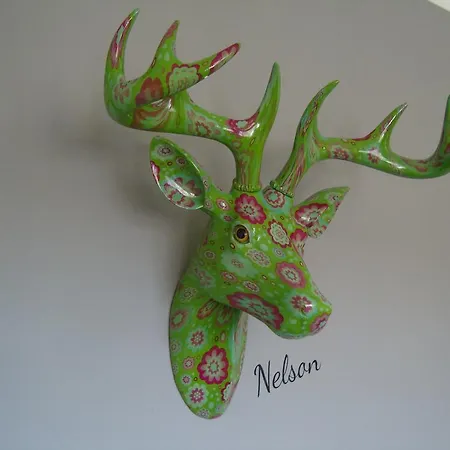 Nelson Apartment