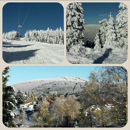 Apartament Nelson Braunlage